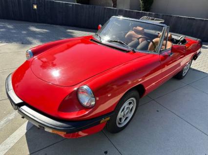 1986 Alfa Romeo Spider