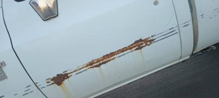 1981 Chevrolet Silverado