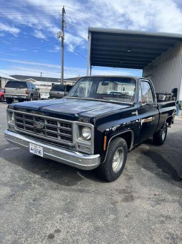 1979 Chevrolet C-series