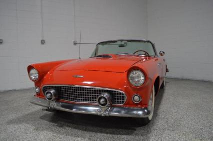 1956 Ford Thunderbird