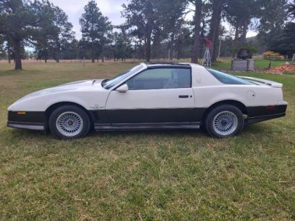 1983 Pontiac Trans Am
