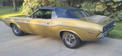 1971 Dodge Challenger