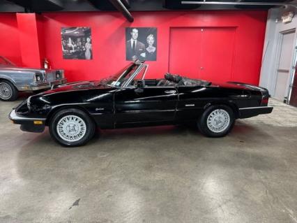 1987 Alfa Romeo Spider Veloce