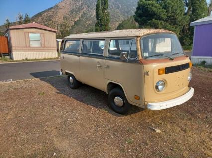 1979 Volkswagen Bus