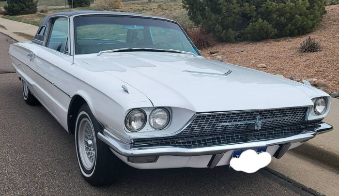 Image 15