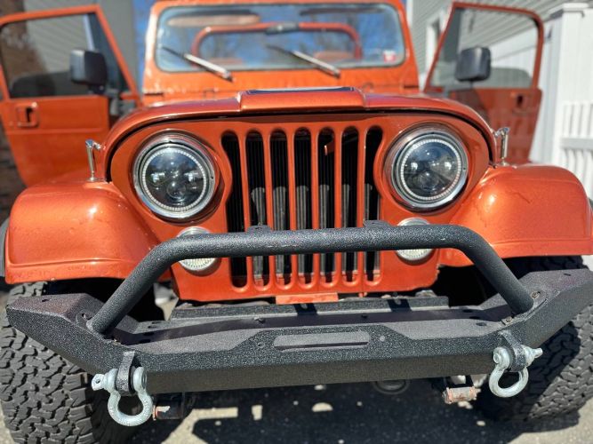 Image 12