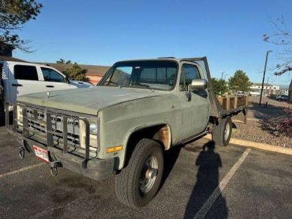 1987 Chevrolet Pickup