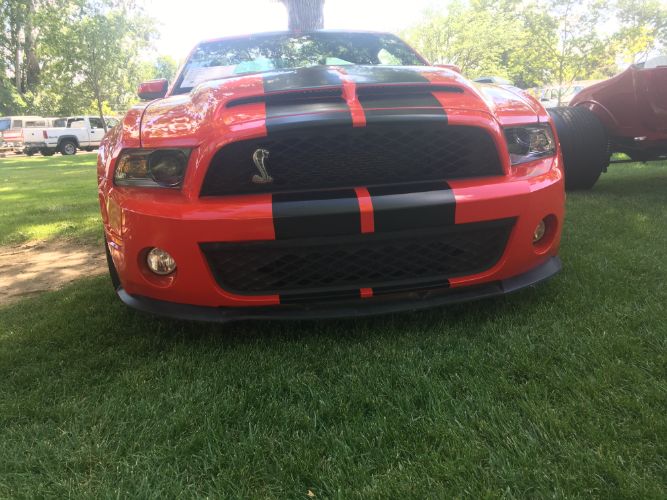 Image 5