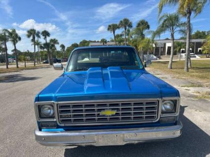 1976 Chevrolet C10