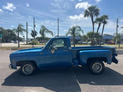 1976 Chevrolet C10