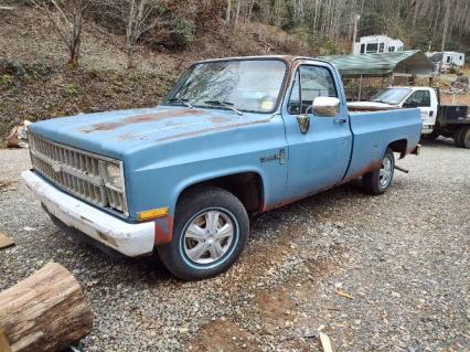 1981 Chevrolet Custom Deluxe