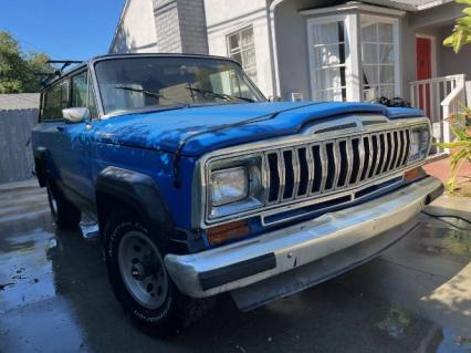 1981 Jeep Cherokee Chief