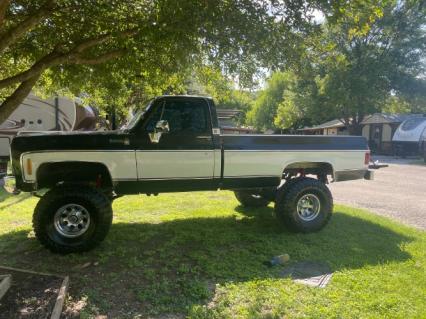 1980 Chevrolet Scottsdale