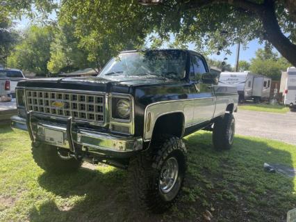 1980 Chevrolet Scottsdale
