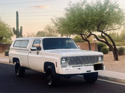 1977 Chevrolet Silverado