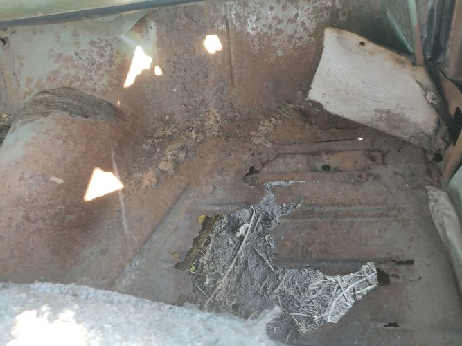 Image 8