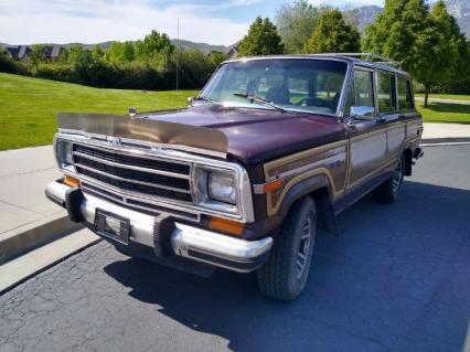 1988 Jeep Grand Wagoneer