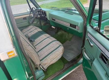 1981 Chevrolet C10