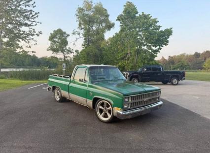 1981 Chevrolet C10