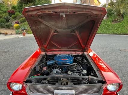 1966 Ford Mustang