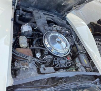 1981 Chevrolet Corvette