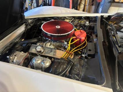 1981 Chevrolet Corvette