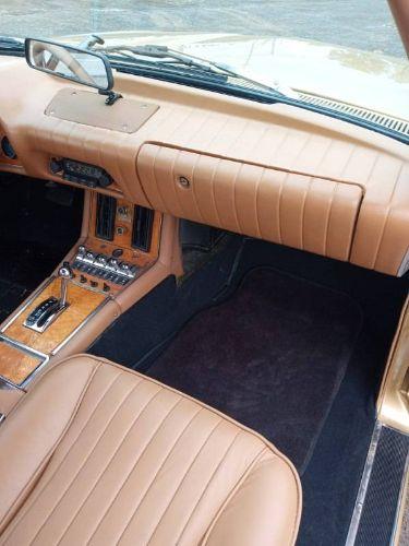 1979 Studebaker Avanti
