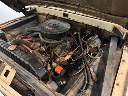 1965 Ford F250