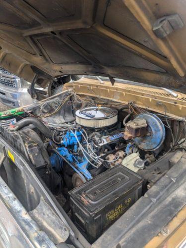 1979 Ford F100