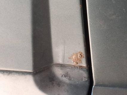 1981 Volkswagen Rabbit