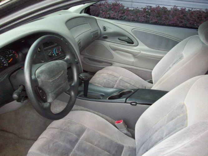 Image 8