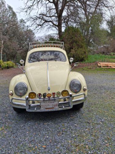 1955 Volkswagen Beetle