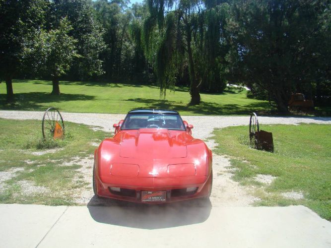 Image 11