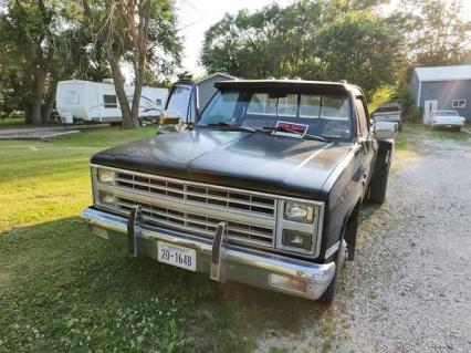 1982 Chevrolet Silverado