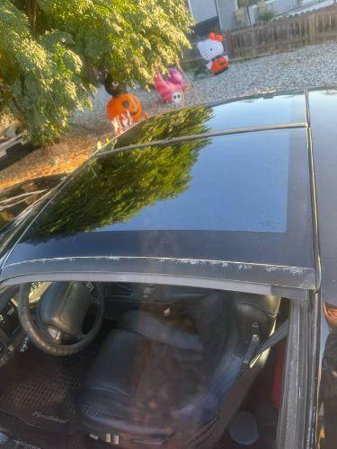 1986 Pontiac Firebird