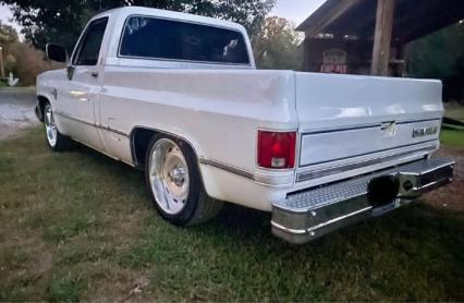 1983 Chevrolet Silverado