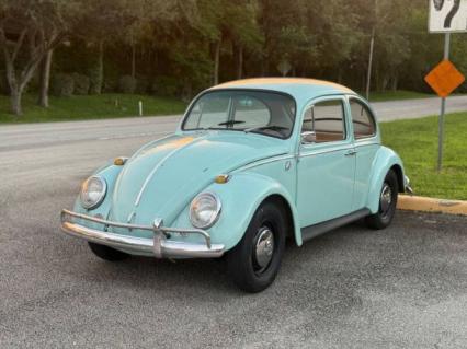 1966 Volkswagen Beetle