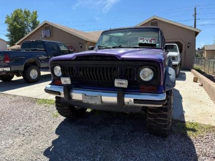 1987 Jeep Grand Wagoneer