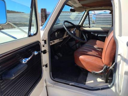 1969 Ford F500