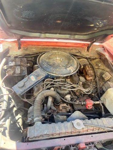 1979 Ford Mustang