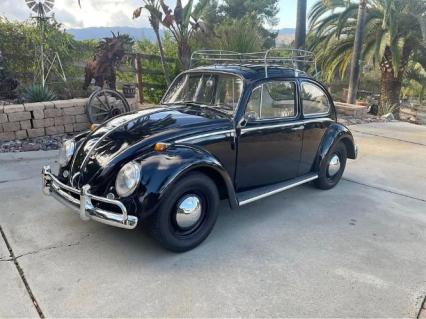 1965 Volkswagen Beetle
