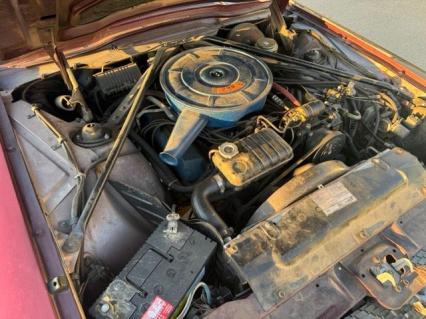 1966 Ford Thunderbird