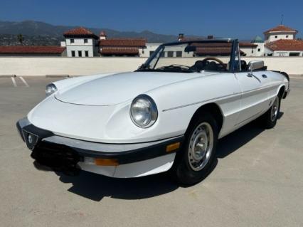 1985 Alfa Romeo Graduate Spider