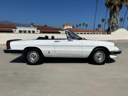 1985 Alfa Romeo Graduate Spider