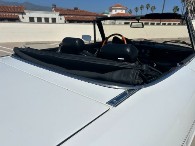 Image 15