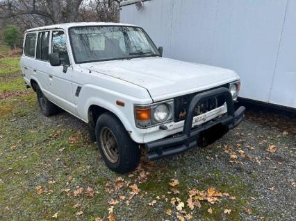 1985 Toyota Land Cruiser