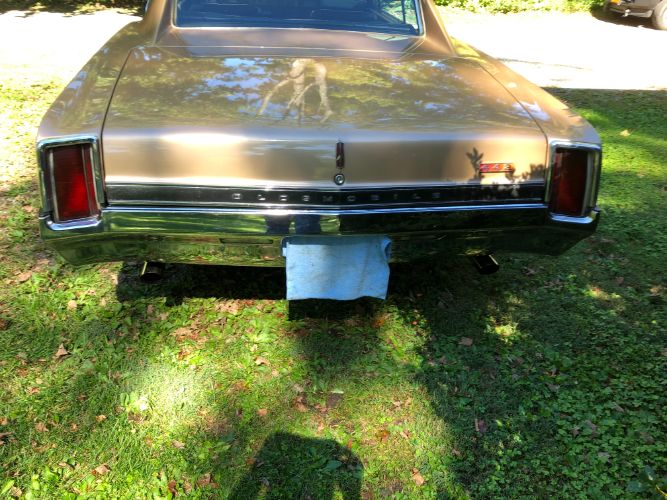 Image 14