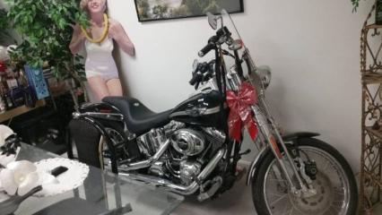 2003 Harley Davidson 100 Year Anniversary