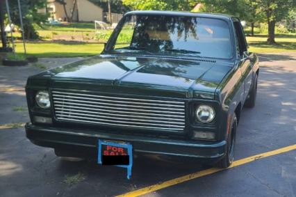 1979 Chevrolet C10