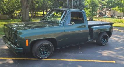 1979 Chevrolet C10